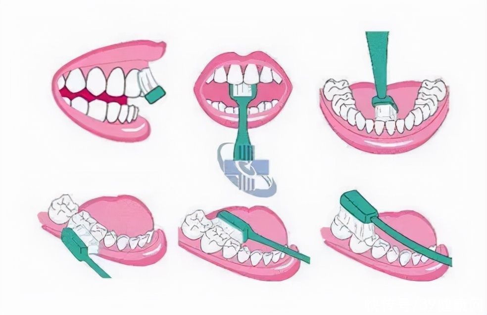 上门|睡前不刷牙，危害有多大？提醒：小心这3种病找上门