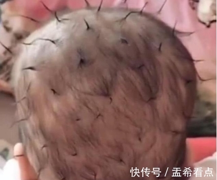宝宝|好无聊的妈妈,自作主张给宝宝设计了一个发型,真是亲生的