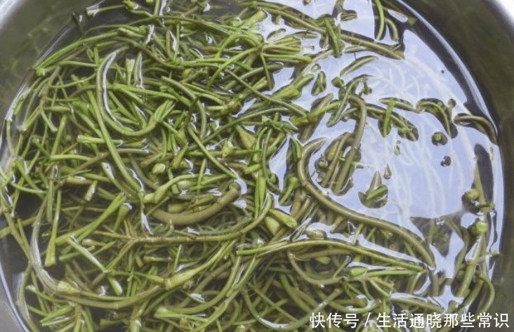 猪肉|秋季，吃猪肉不如吃它，等于天然泻药，刮油排毒，小腹不鼓了