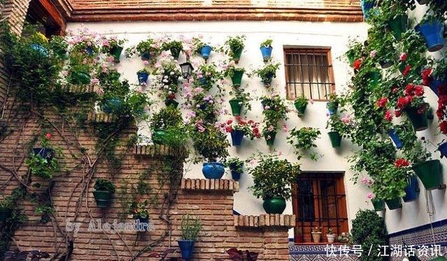 不一样的“庭院花园”，花草都上了墙