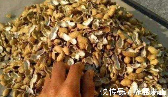 家庭|家庭养花必不可少的4种“好材料”,不花一分钱,配土透气又透水