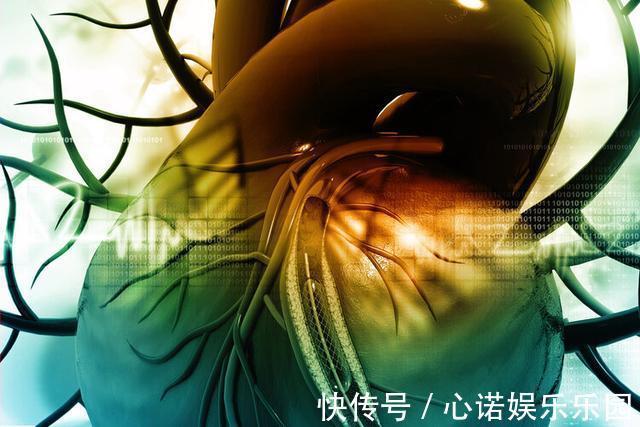 支架|做了心脏支架,病人就活不久了?实话实说,6类人群不适合做