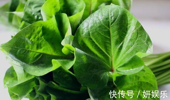 食物|人到中年想长寿,可以多吃以下食物,美容养生,身体棒棒哒!