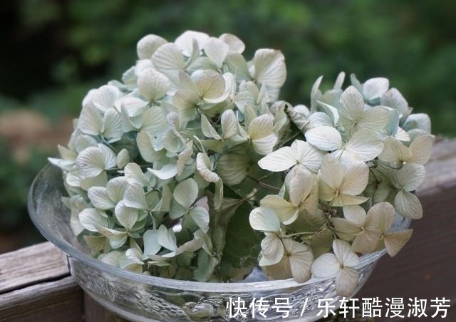 白羊座|喜鹊报喜,真情涌现,执着难离,意,和好如初,共浴爱河