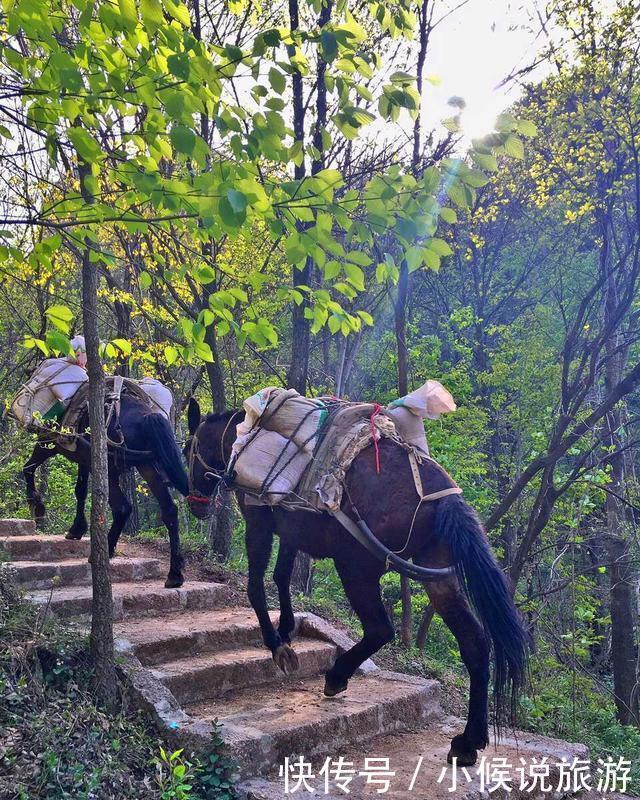 二帝|这座山,与泰山一字之差,传说炎黄二帝在此会盟