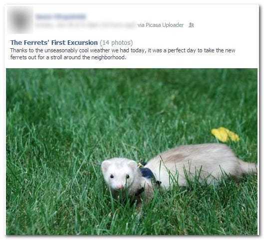 (facebook怎样上传信息)如何将发送到facebook的功能添加到Picasa