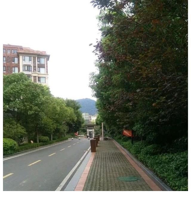 炒房|我国的房价泡沫大吗？真不大