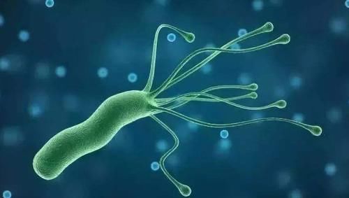 胃黏膜|慢性胃炎不能吃鸡蛋?提醒:这4种食物尽量少吃,一起了解下