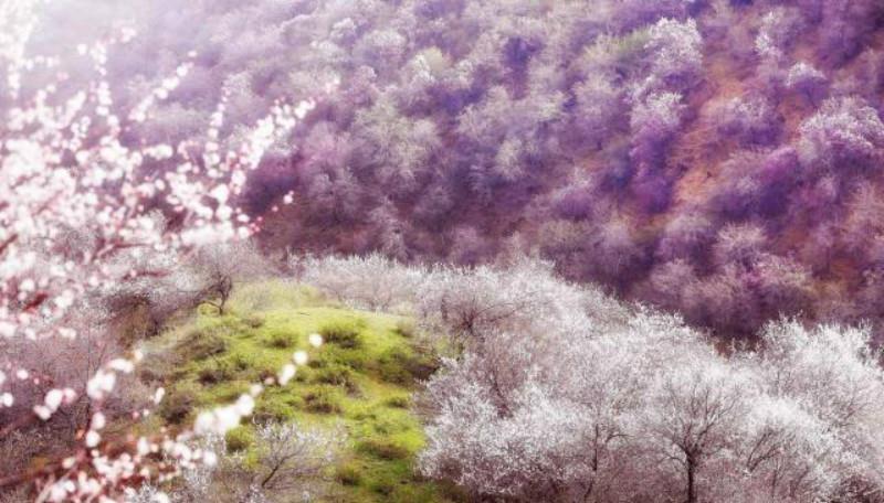 写得|秦观很有韵味的一首诗,苏轼读了都为之倾倒,不失为难得的佳作!