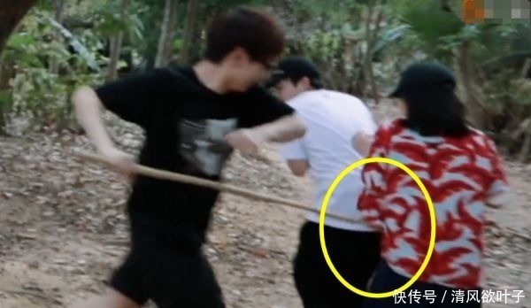 向往的生活|汪苏泷不小心打到张子枫,谁注意彭昱畅的第一反应比言情小说还甜