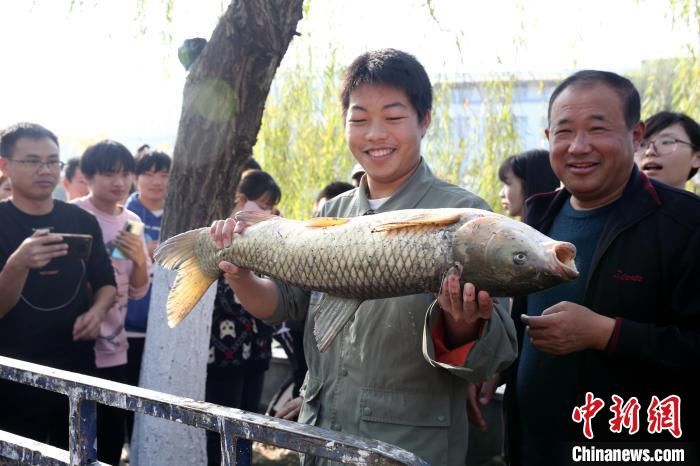 鱼儿|湖北一职院湖塘拉网捕鱼 师生免费吃