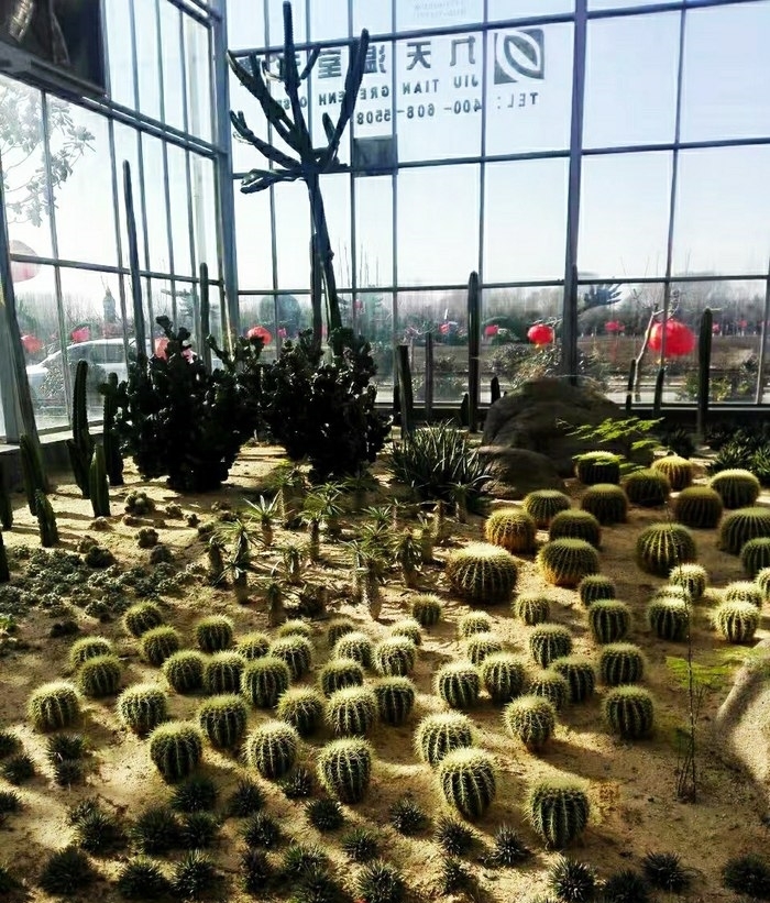 蔬果|宋MAX，感受一下蔬果城堡的寧靜，欣賞彩色的自然