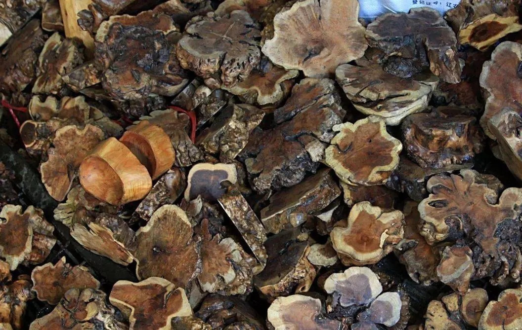 五种烟斗最常用的材质,选贵的不如选对的!