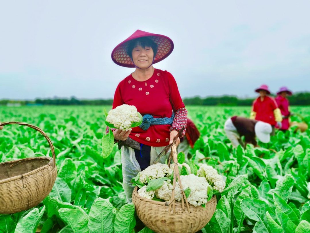 摄影|钱塘秋色，惊艳登场！