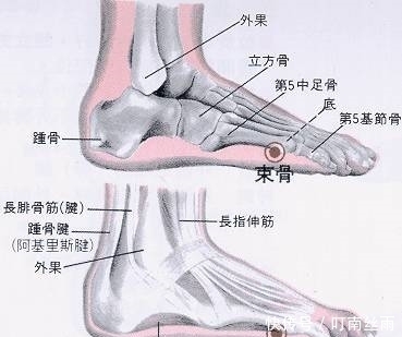  痛风|身体出现这1症状，痛风来了，它们泡水每天喝1杯，治痛风降尿酸