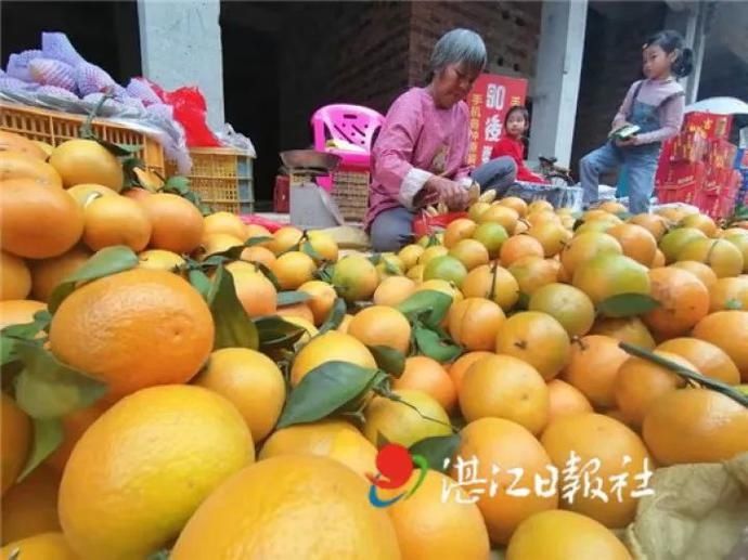  飞地|廉江“飞地”过禾了节，做籺籺籺籺籺籺吃啦！