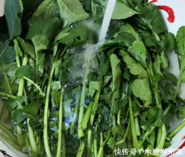 变细|它是天然“泻药菜”,每天炒一盘,便秘消失,肠道干净,腰围变细