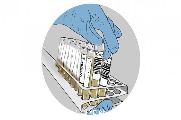 长寿|11国联合研究:多吃肉的老人更长寿!老年人如何科学健康地吃肉?