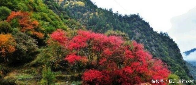 我国最大的红叶景区,相当于180个香山,这里藏着最美的秋天