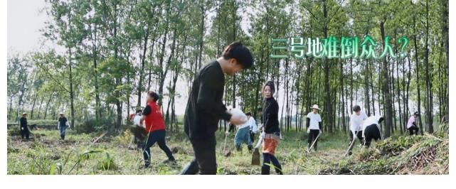 倉(cāng)庫(kù)|《向往5》導(dǎo)演斥巨資，為種51棵數(shù)請(qǐng)10位嘉賓，吃飯都得輪著上桌