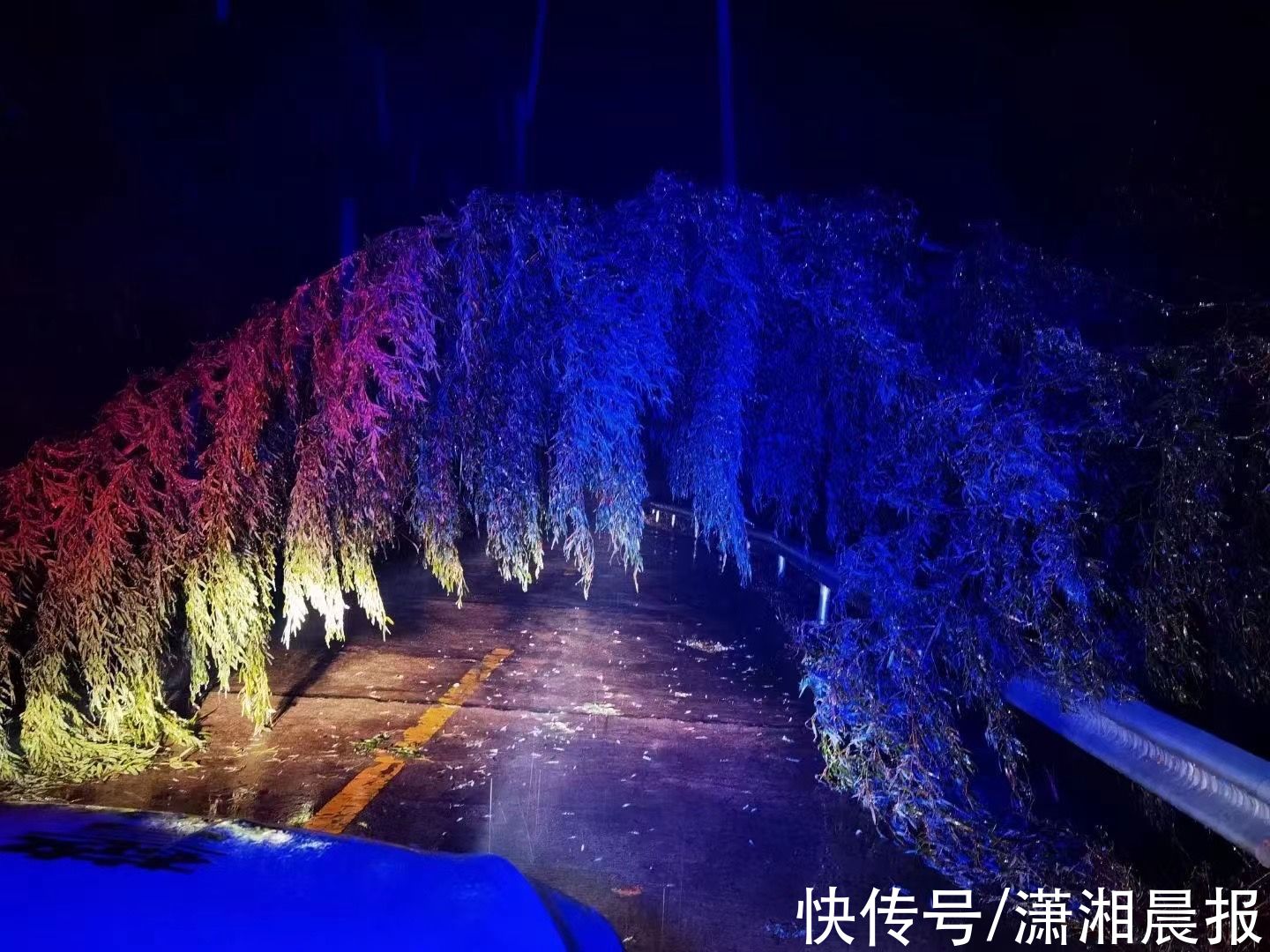 凌晨|外地司机被冰雪困在山中，桃源民警深夜爬行救人