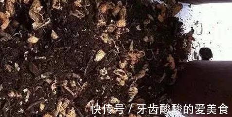 家里的3种垃圾不要扔,绿萝盆里用一点,再也不黄叶不烂根