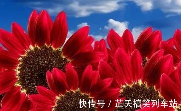 带脉|早推腹、午敲带脉、晚泡脚,搞定浮肿眼袋黄褐斑,根除妇科病!