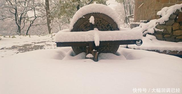 银装素裹|南太行今冬第一场雪来的是那么突然满山银装素裹