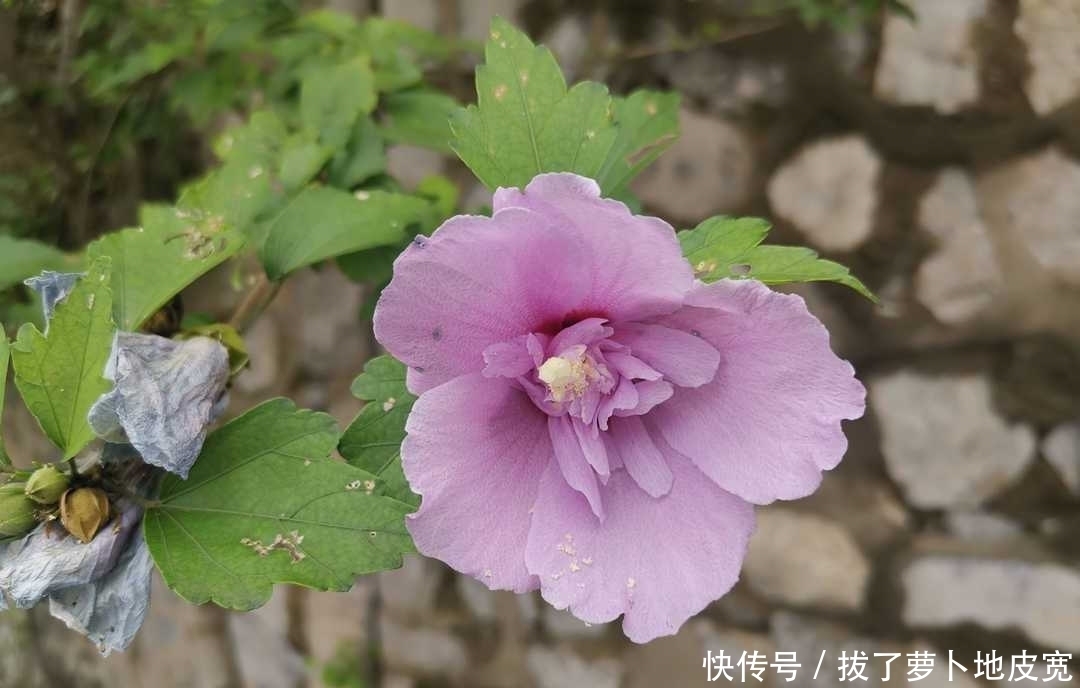 保平安|曾国藩:时刻反省求进步,严格自律保平安,克服焦躁平心气