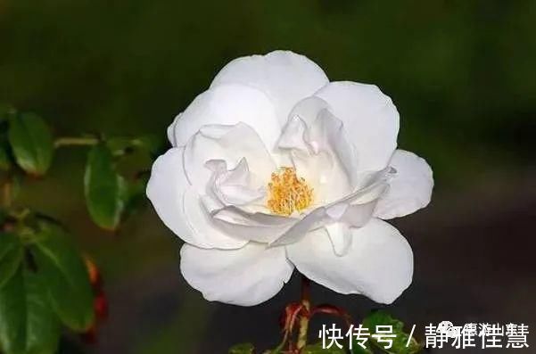 养生|两个养生黄金期,一个是睡前,一个竟是…99%的人都不知道!