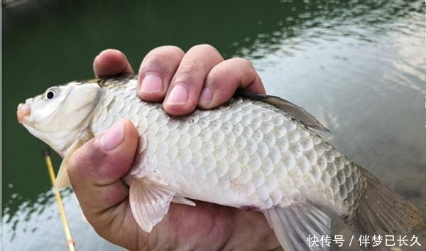 早春钓鱼有套路,注意三小和三找,收获肯定差不了