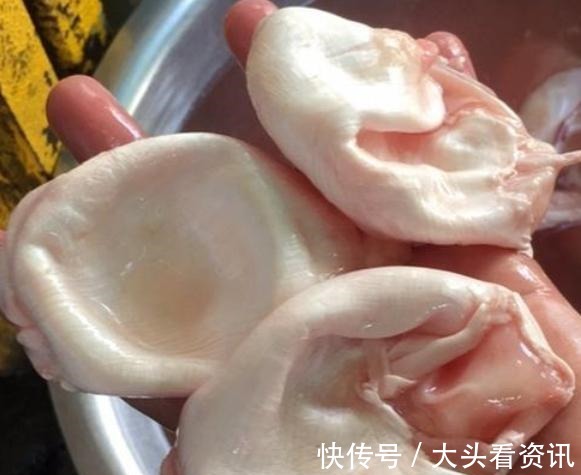鱼泡|鱼身上最贵的1块肉“可比燕窝”,不少人却扔掉了,网友亏大了
