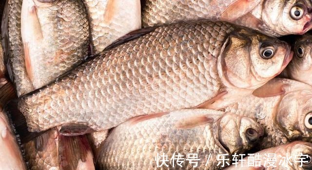 钓友|天冷口轻,浮漂没动静提竿却中鱼原因全在这3点!