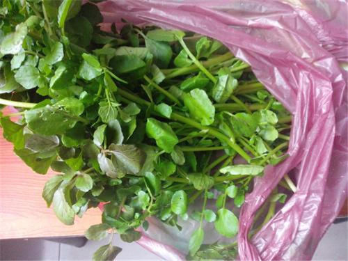 烫火锅|又一“猪菜”翻身,曾被嫌弃脏,如今一斤7元,成烫火锅佳品