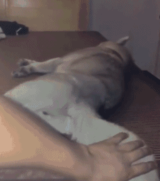 |搞笑GIF:爱妃别怕,朕帮你人工呼吸!