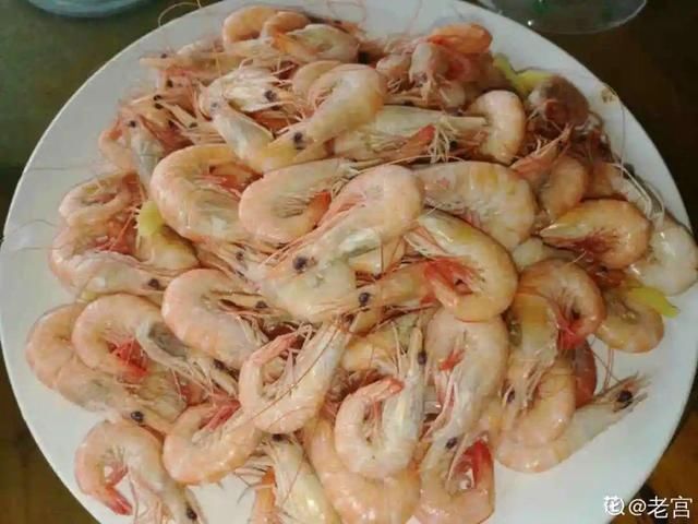 9种花真是老酒鬼，5天一小杯，叶子绿得像打蜡