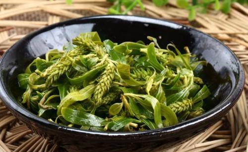 春天宁可不吃肉,也要吃此4种“芽菜”,好吃营养,错过要等一年