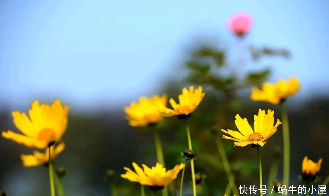 人到晚年，为什么朋友越来越少？除了身体因素外，还与三点有关
