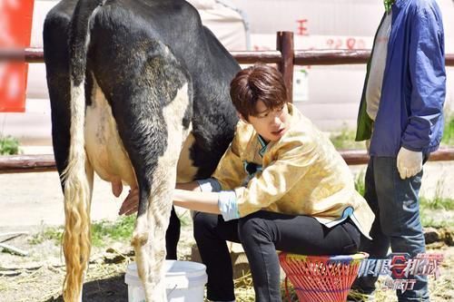 雪蓮花|劉宇寧道歉后，《極限挑戰》節目組沒回應，其他嘉賓態度更寒心