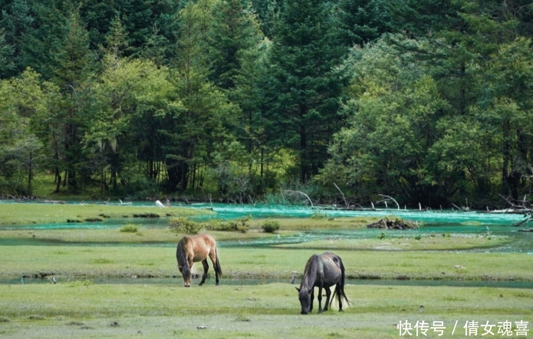 康定情歌|深山里的神秘面纱，至今未被开发，景色毫不逊色于稻城亚丁