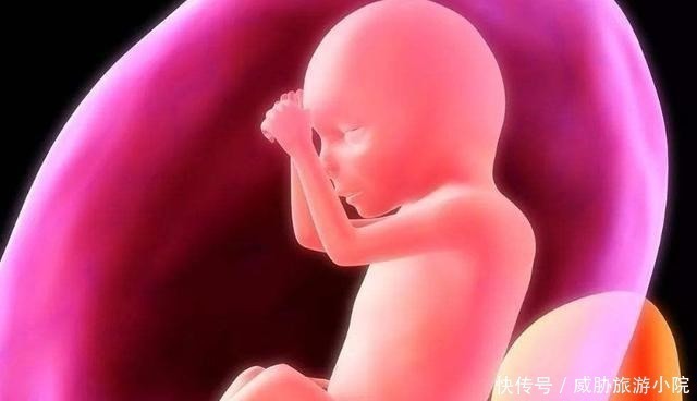 胎儿|进入孕期这一周,宝宝更容易缺氧,孕妈改掉几个坏习惯,及早预防