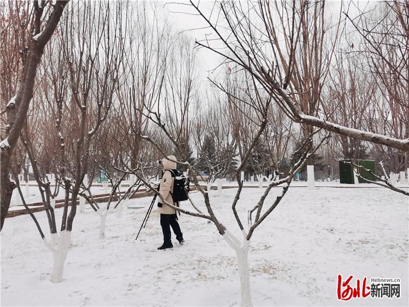 河北张家口：瑞雪迎冬奥 山城披银装|组图 | 降水量