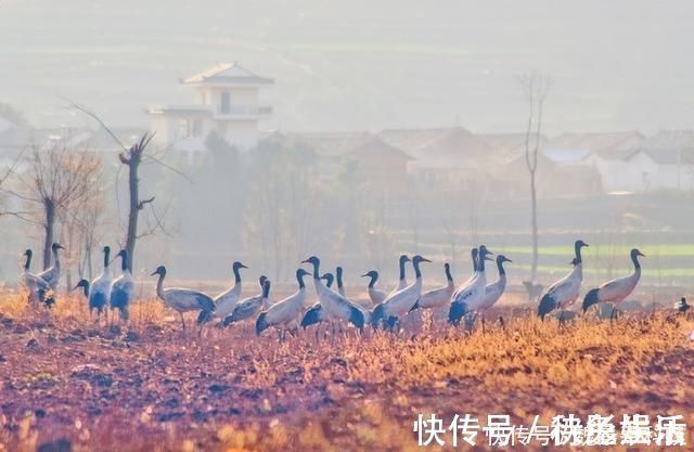 坐标|适合一个人去的18个地方，2020年欠自己的旅行，就这样安排吧