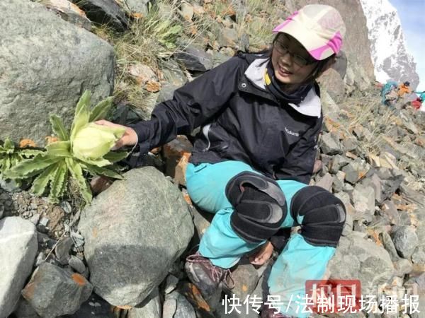 秦岭$95后女诗人不幸遇难!死因仍是待解之谜……