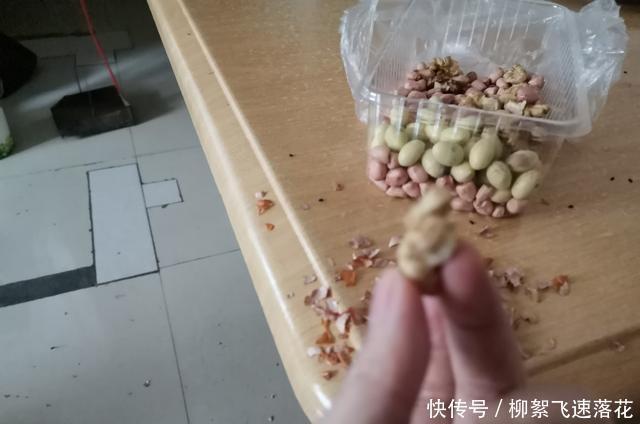 豆浆|这算不算全网最丰盛的豆浆呢!
