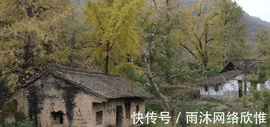 农村|致农村那些逝去的老房子……