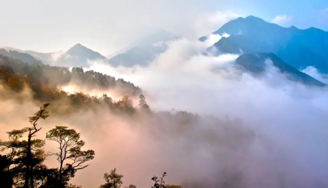 上帝偏爱的山水秘境！日出云海，观星赏花……这个浙南宝地是藏不住啦~