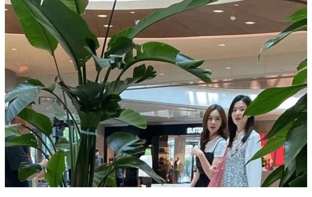 小姐姐|沈梦辰乔欣录节目被质疑假吃,网友帮澄清:几乎吃完,很真诚