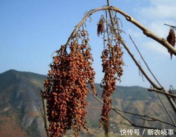  喜欢|这些农村孩子最喜欢的零食，没吃过的就不能说自己是农村娃