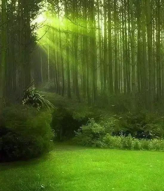 传来|太美了,世界照片今天终于传来,罕见至极,一睹为快